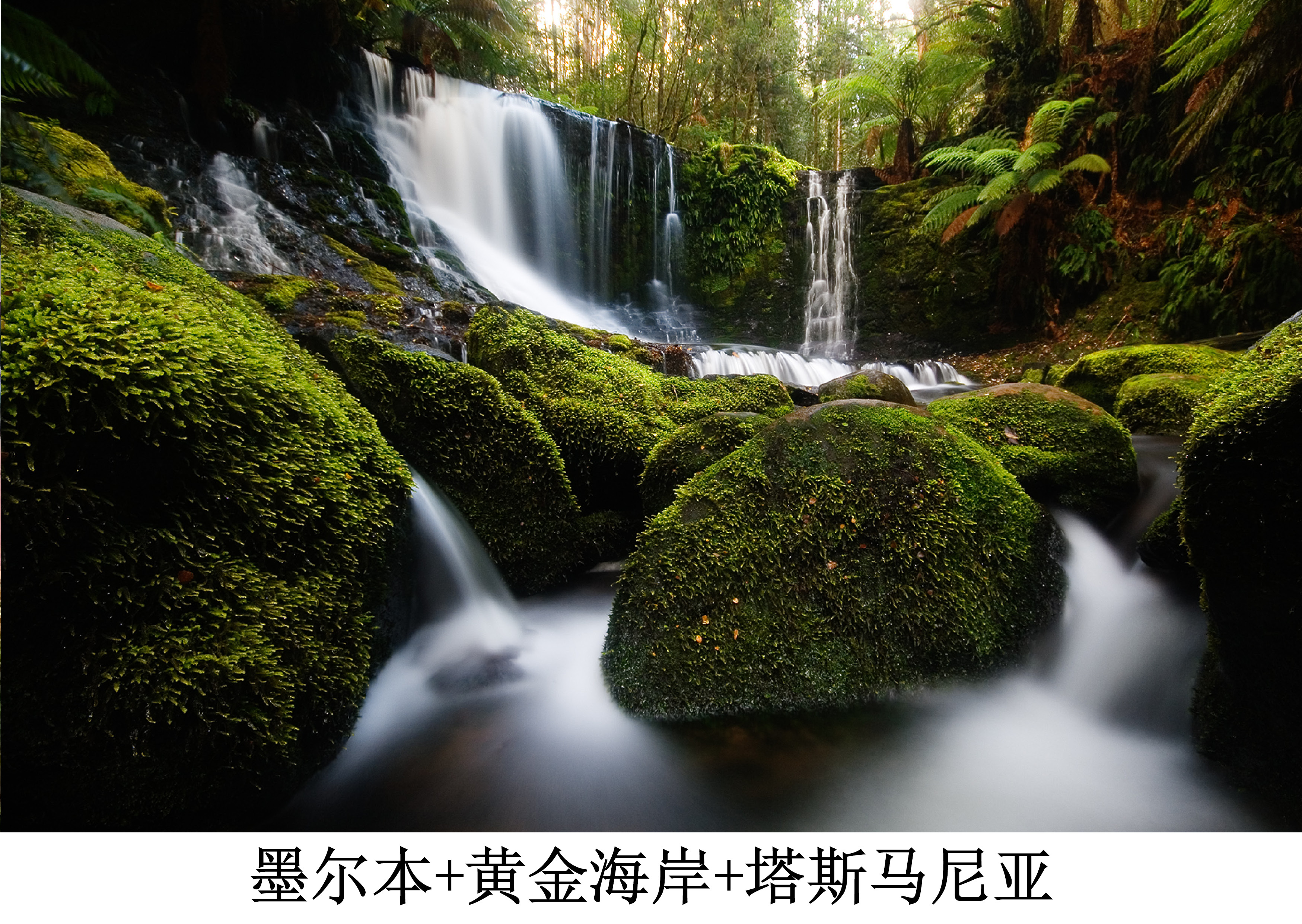 塔斯马尼亚联连续不败，争冠形势一片大好