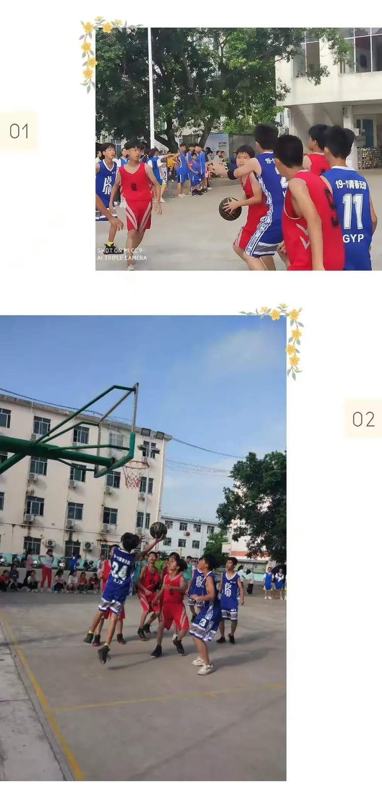 团队合作共赢，球场上绽放魅力光芒的简单介绍