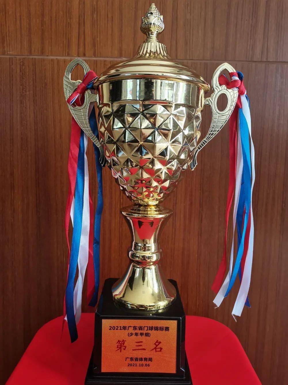 od体育app-教练团队协作默契，球队整体实力得到提升的简单介绍