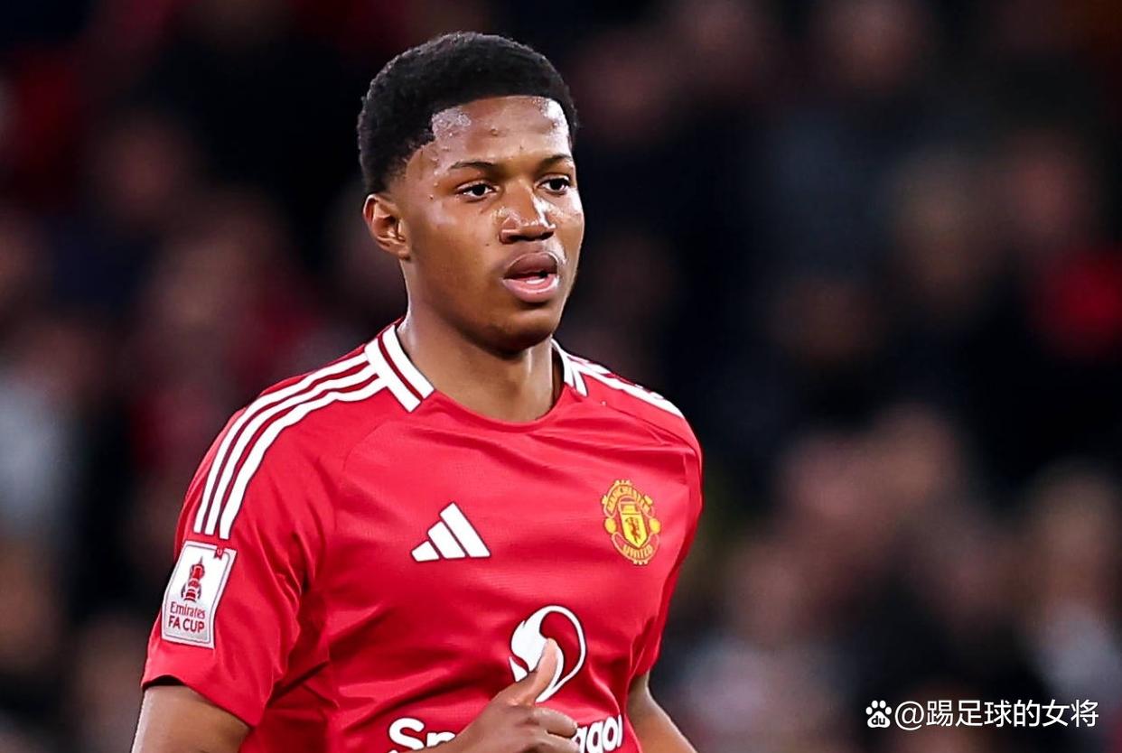 od体育网页版入口-包含曼联整体实力稳步提升，多名新星崭露头角的词条