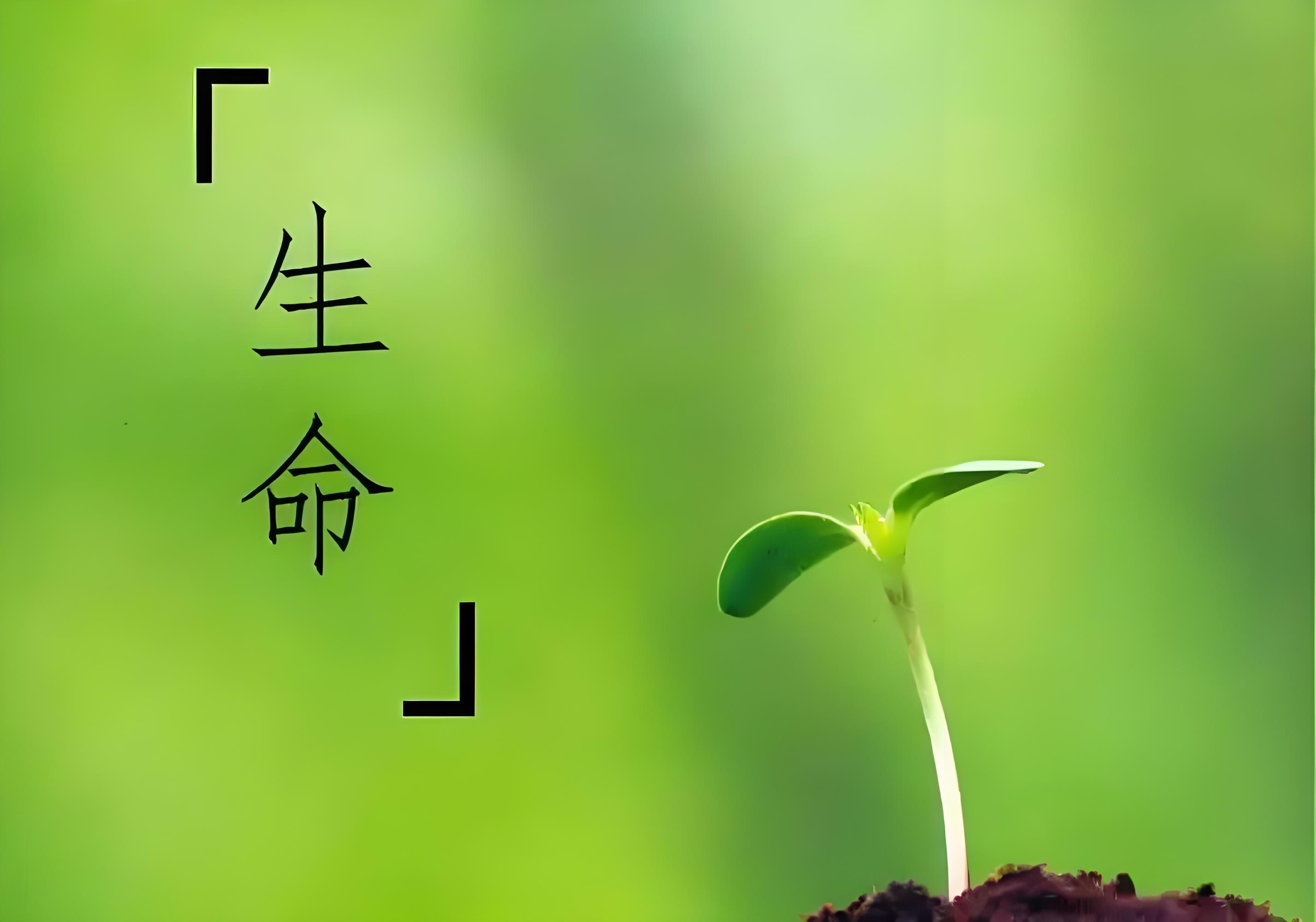 od体育馆-包含力挽狂澜气吞山河，胜负乃生命永恒主题的词条